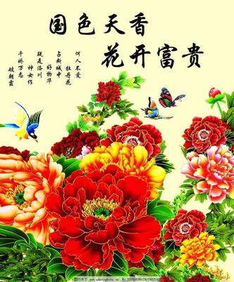 微信图片_20181221094115